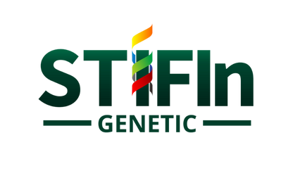 Konsultasi STIFIn